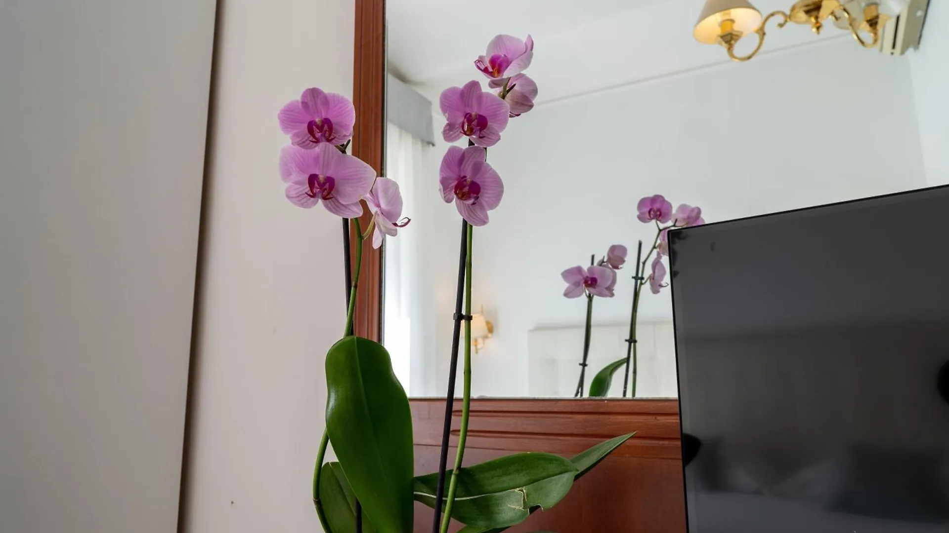 Hotel Gabriella Ρώμη 3*,  Ιταλία
